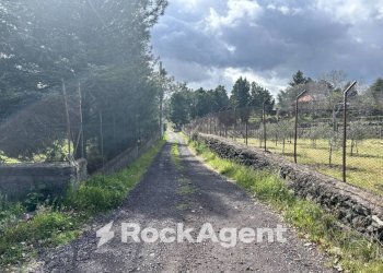 Terreno - Terreno agricolo Campo Nessunescluso, Segreta, Belpasso - foto 15