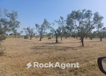 Terreno - Shop via Cesare Battisti, 12, Carmiano - photo 37