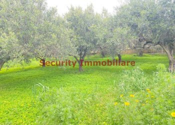 Terreno - Terreno edificabile via Enrico Ghezzi, Sciacca - foto 4