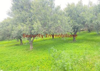 Terreno - Terreno edificabile via Enrico Ghezzi, Sciacca - foto 5