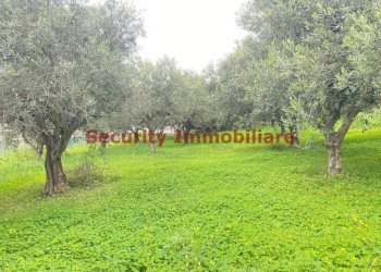 Terreno - Terreno edificabile via Enrico Ghezzi, Sciacca - foto 6