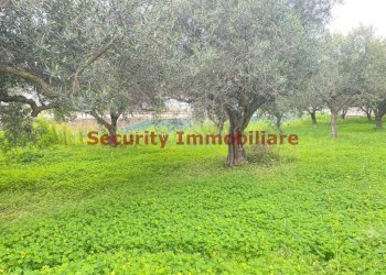 Terreno - Terreno edificabile via Enrico Ghezzi, Sciacca - foto 7