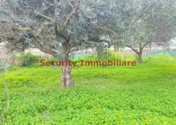 Terreno - Terreno edificabile via Enrico Ghezzi, Sciacca - foto 8