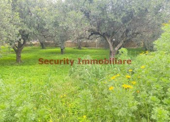 Terreno - Terreno edificabile via Enrico Ghezzi, Sciacca - foto 9