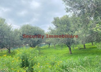 Terreno - Terreno edificabile via Enrico Ghezzi, Sciacca - foto 13