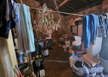 Casa indipendente Ravenna (zona Classe) - foto 3