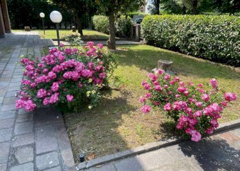 Villa via del Pretorio, Sassuolo - photo 4