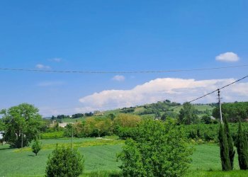 Casale Nizza Monferrato - foto 7