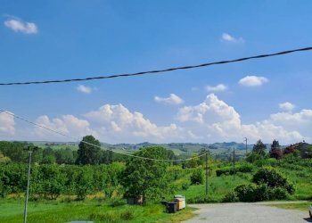 Casale Nizza Monferrato - foto 8
