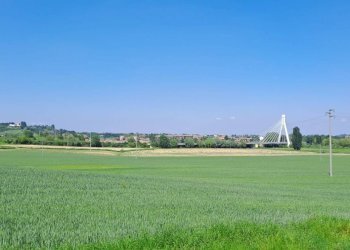 Casale Nizza Monferrato - foto 9