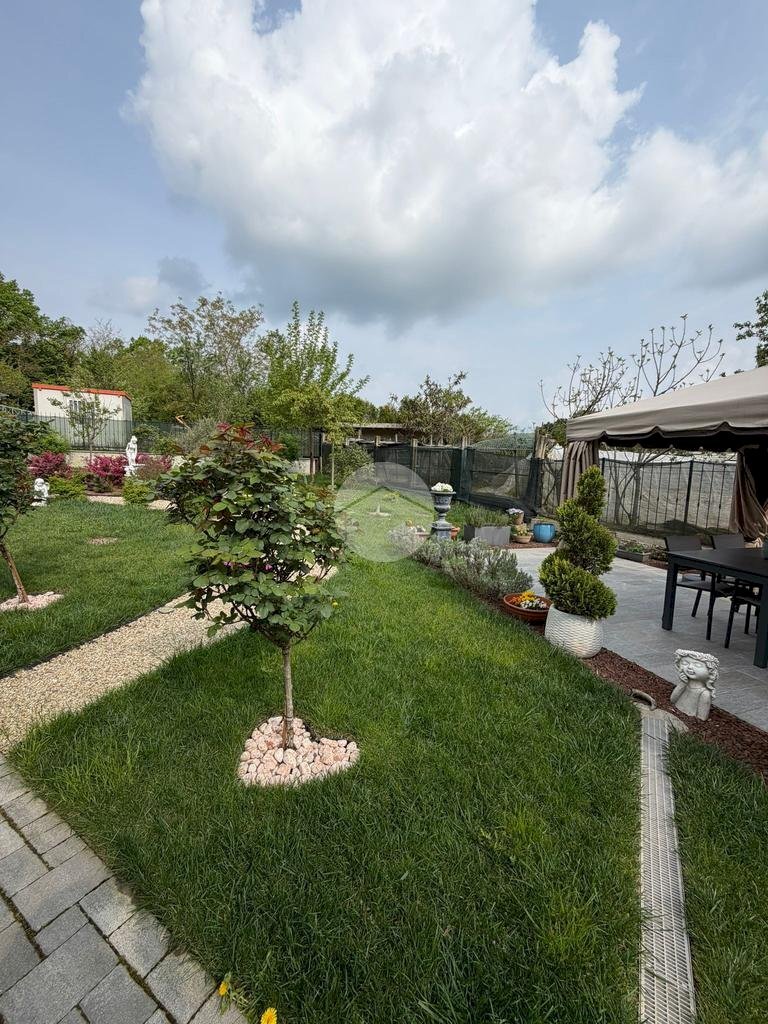 Villa a Schiera Via Novara, Trana - foto 3