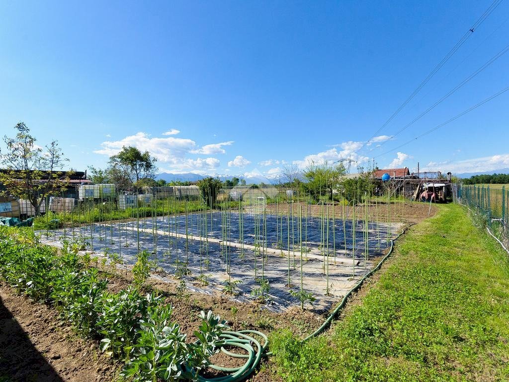 Rustic Via Canova Pogliani 36, Leini - photo 1