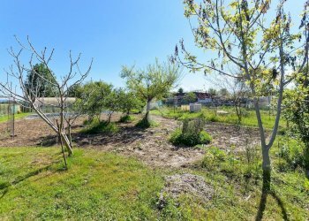 Rustic Via Canova Pogliani 36, Leini - photo 6