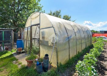 Rustic Via Canova Pogliani 36, Leini - photo 9