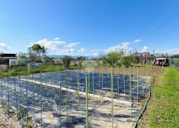 Rustic Via Canova Pogliani 36, Leini - photo 10