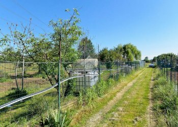 Rustic Via Canova Pogliani 36, Leini - photo 13