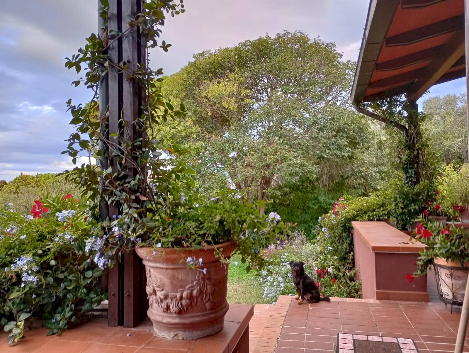 Foto 3 - Villa via enzo ferrari, Tortoreto - photo 3