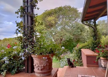 Foto 3 - Villa via enzo ferrari, Tortoreto - foto 3