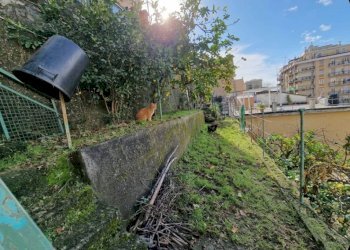 Foto 31 - Appartamento Via Borzoli
 
19, Genova - foto 31