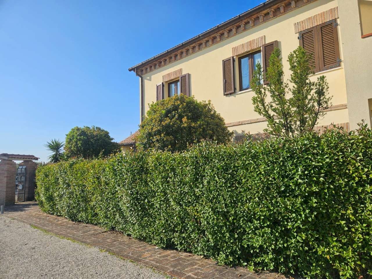 img-20260417-wa0031 - Appartamento Polverigi - foto 2