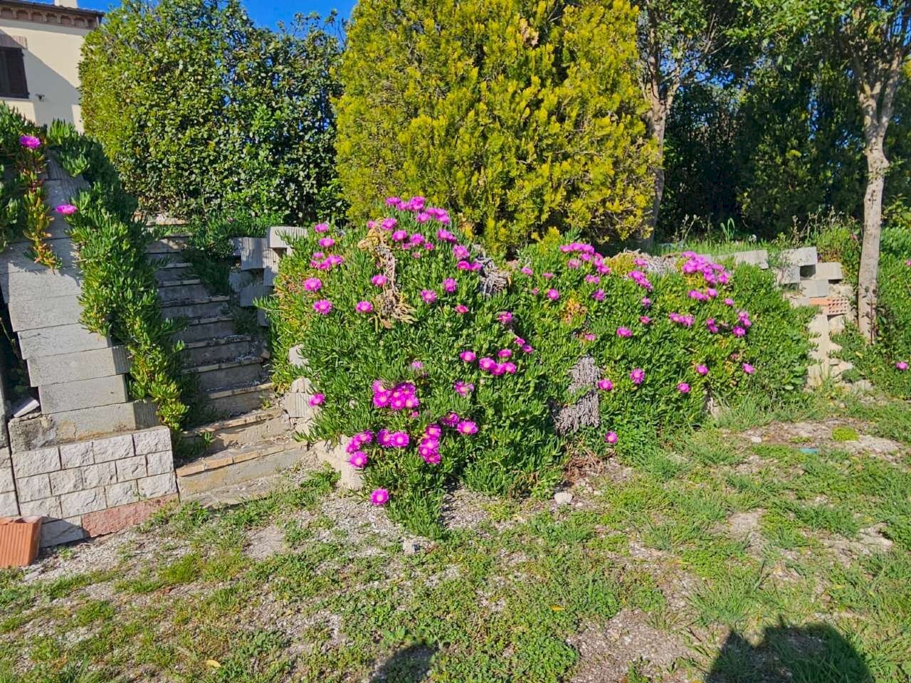 img-20260417-wa0027 - Appartamento Polverigi - foto 3