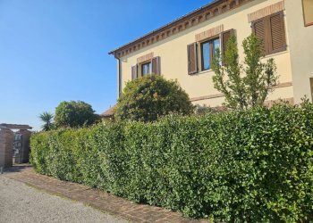 img-20260417-wa0031 - Appartamento Polverigi - foto 2