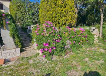 img-20260417-wa0027 - Appartamento Polverigi - foto 3