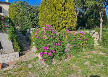 img-20260417-wa0028 - Appartamento Polverigi - foto 22