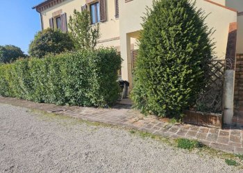 img-20260417-wa0029 - Appartamento Polverigi - foto 23