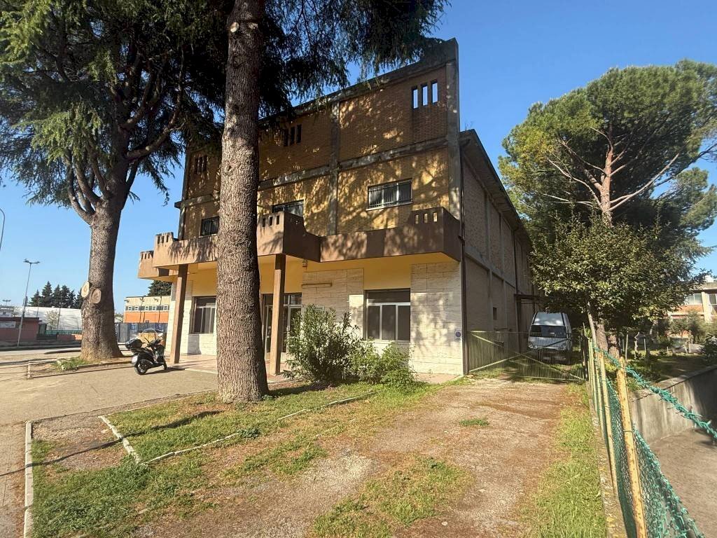 Terreno - Shop largo Centro Studi, Morciano di Romagna - photo 1