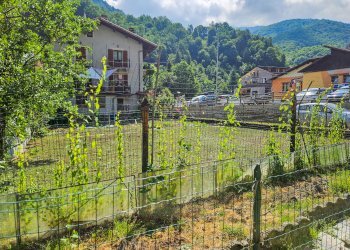 Casa indipendente Frazione San Bartolomeo, Chiusa di Pesio - foto 46