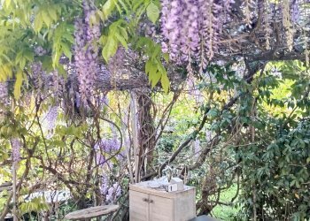 Trilocale Via del Triumvirato, 48, Bologna (zona Borgo Panigale) - foto 17