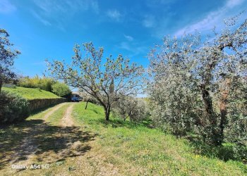 Casale I Poderi, frazione Poderi, Manciano - foto 8