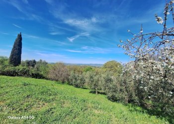 Casale I Poderi, frazione Poderi, Manciano - foto 9