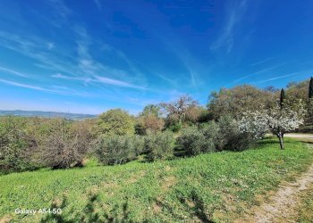 Casale I Poderi, frazione Poderi, Manciano - foto 46