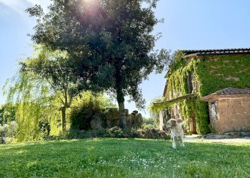 Casale loc.piancasale, Sorano - foto 26