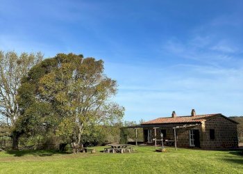 Casale loc.piancasale, Sorano - foto 31