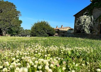 Casale loc.piancasale, Sorano - photo 38