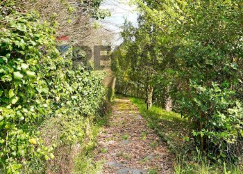 Casa indipendente Via Carpaneto, 35 
 Mignanego, Mignanego - foto 59