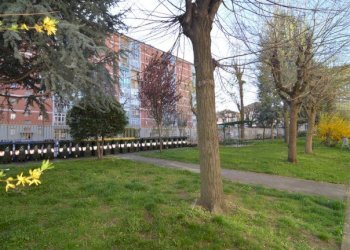 Bilocale Torino (zona Cenisia) - foto 27