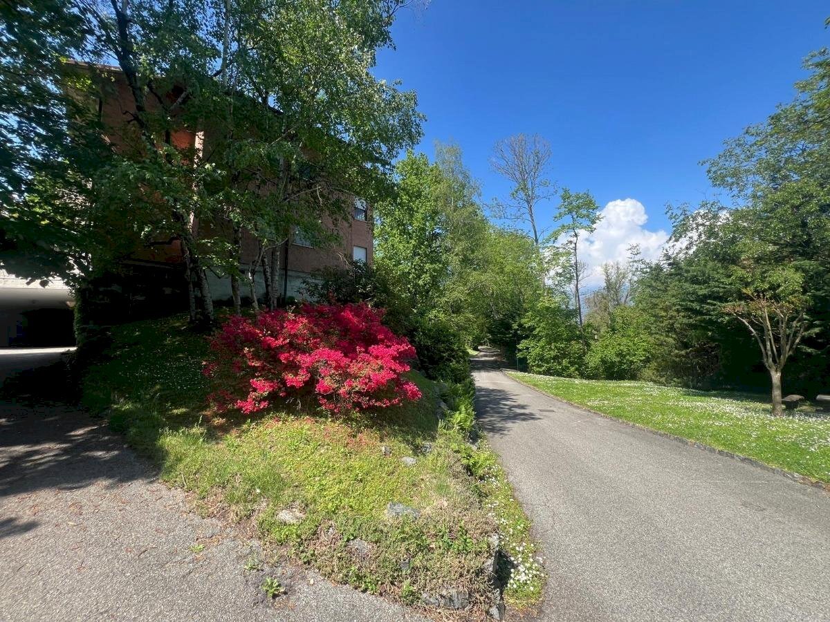 Trilocale Ivrea - foto 2