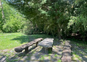 Trilocale Ivrea - foto 16