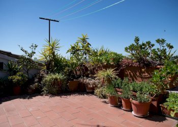 Foto 22 - Quadrilocale via Dante Alighieri, Monterotondo - foto 22