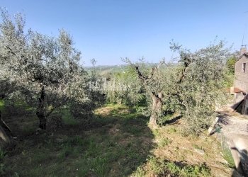 Foto 53 - Casa indipendente via montecoccio
 
12, Spinetoli - foto 53