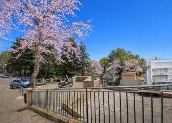 Foto 74 - Appartamento Via Guglielmo Marconi
 
snc, Monteprandone - foto 74