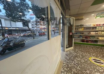 Dispensa di stoccaggio - Attività Commerciale Corso Alcide De Gasperi
 
407, Bari - foto 4