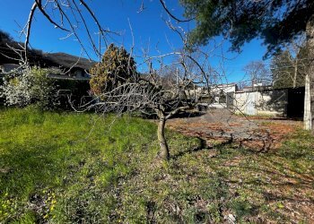 Giardino - Terreno edificabile VIA CACCIATORI DELLE ALPI, Cuasso al Monte - foto 7