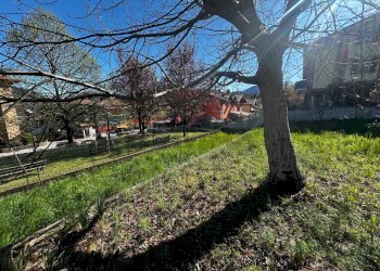 Giardino - Terreno edificabile VIA CACCIATORI DELLE ALPI, Cuasso al Monte - foto 20