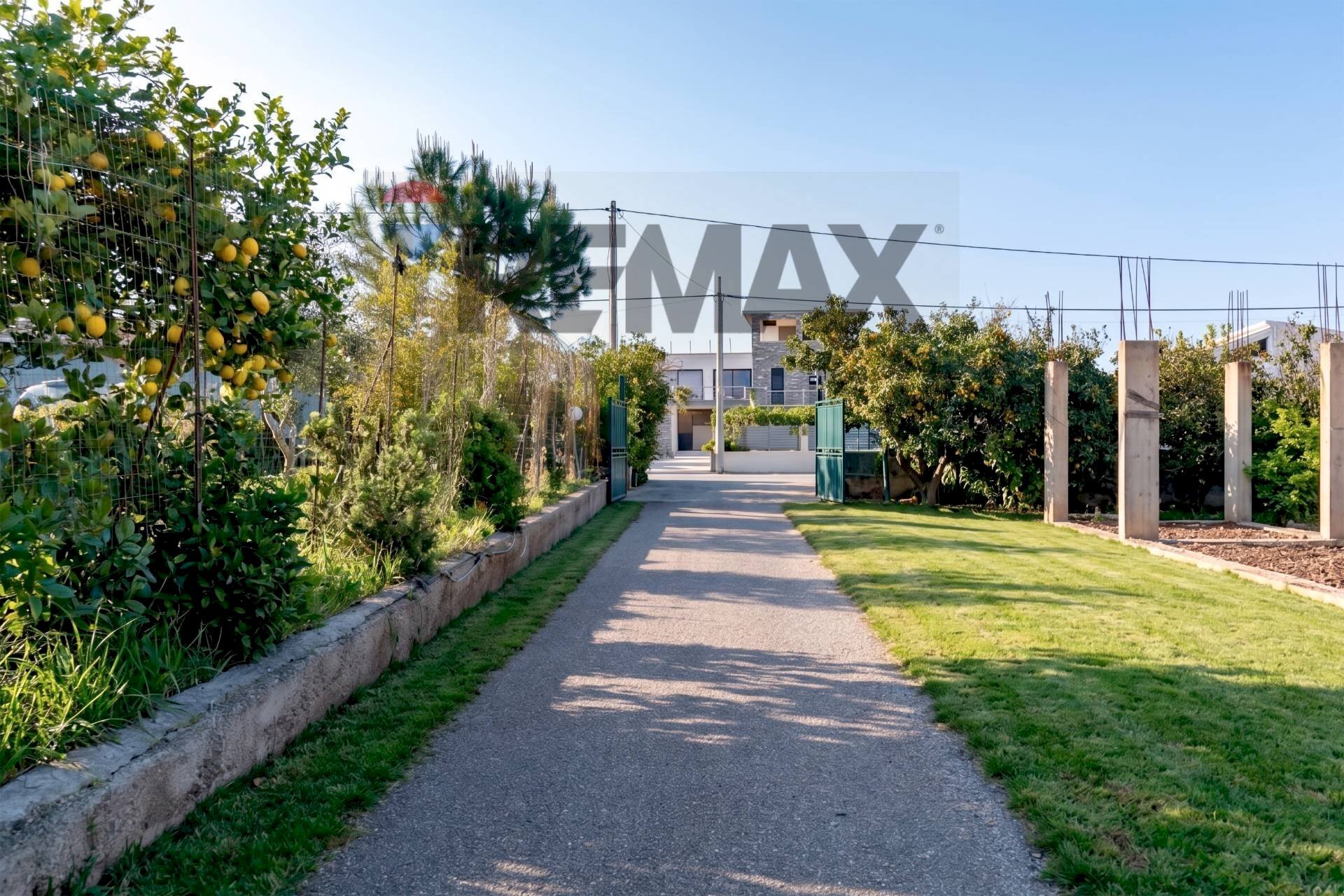 Giardino - Terreno edificabile strada vicinale san nicola
 
snc, Trabia - foto 2