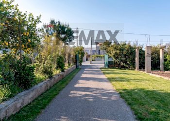 Giardino - Terreno edificabile strada vicinale san nicola
 
snc, Trabia - foto 2